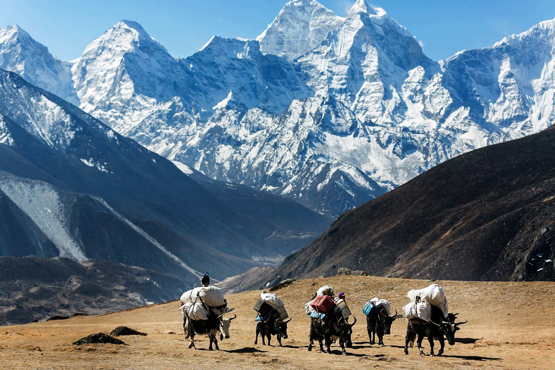 Everest Trekking