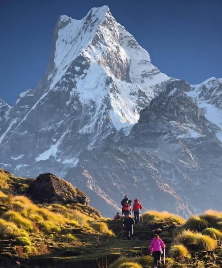 Nepal Trekking Website 