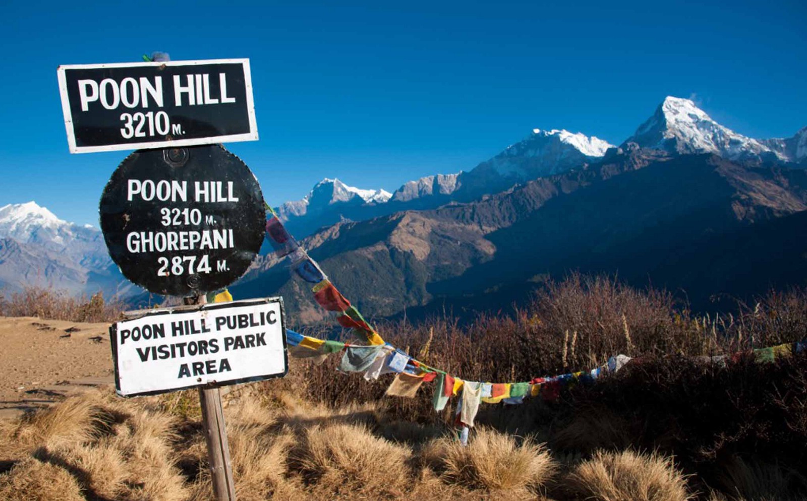 Poon Hill Trek Information 