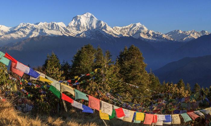 Poon Hill Trek Nepal 
