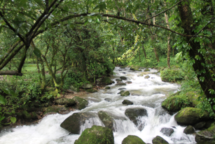 Around Kathmandu Valley Trekking 